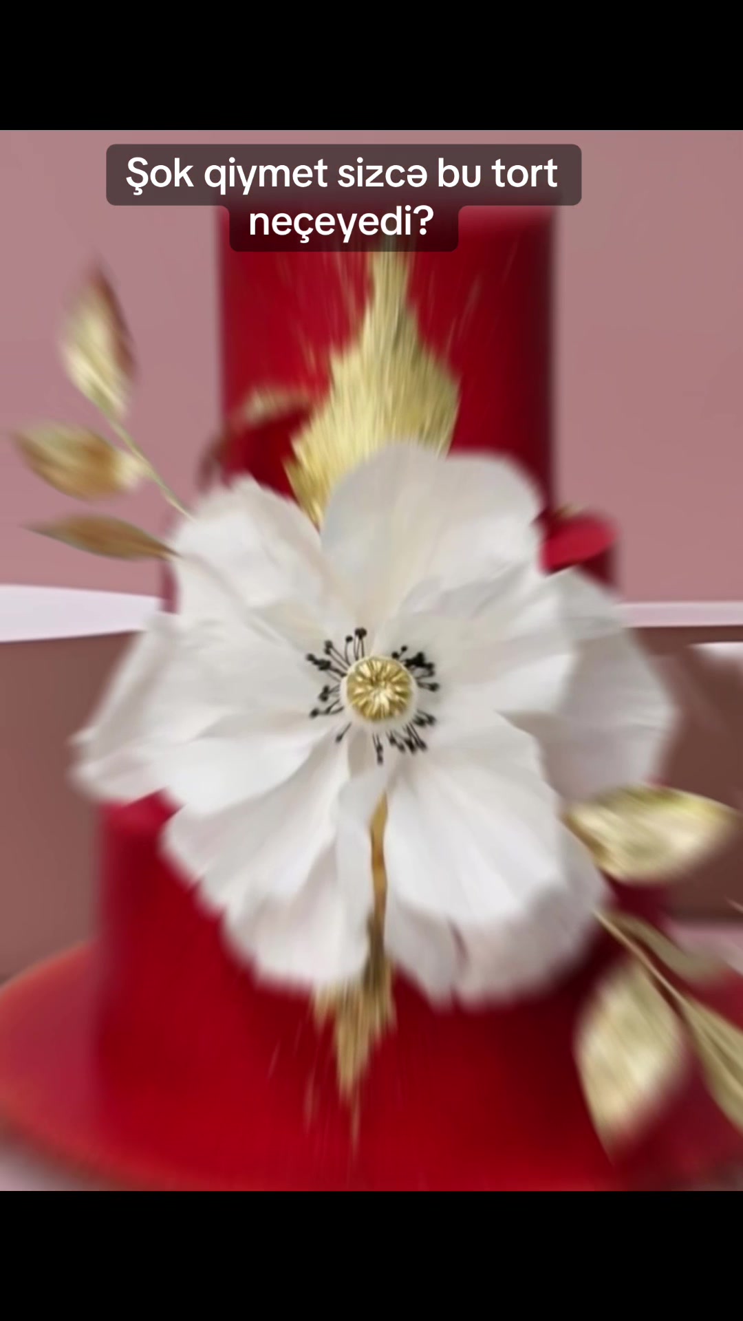 @𝓒𝓪𝓴𝓮.𝓫𝔂.𝓰𝓾𝓵
