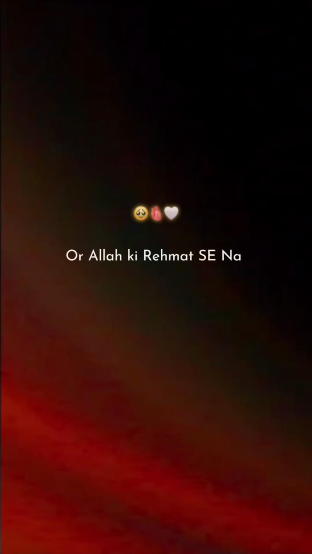@🔥Mř🔥Fáįzį🔥