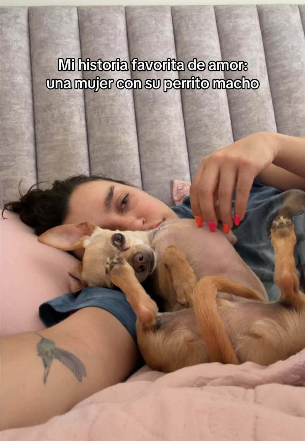 @sofiaalcastro