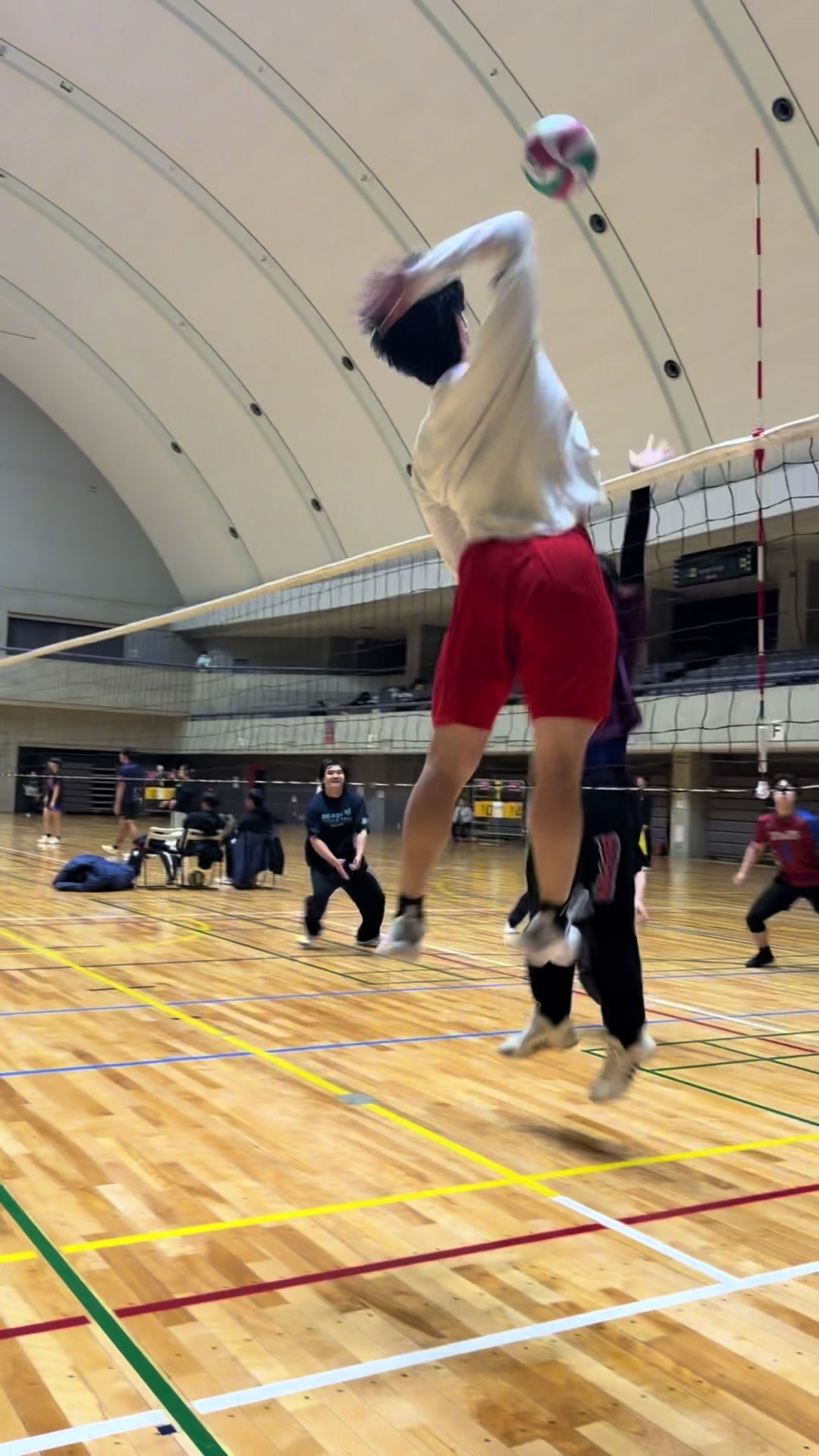 @🏆サガーズ/SAGAS🏆(バレーボールチーム)埼玉