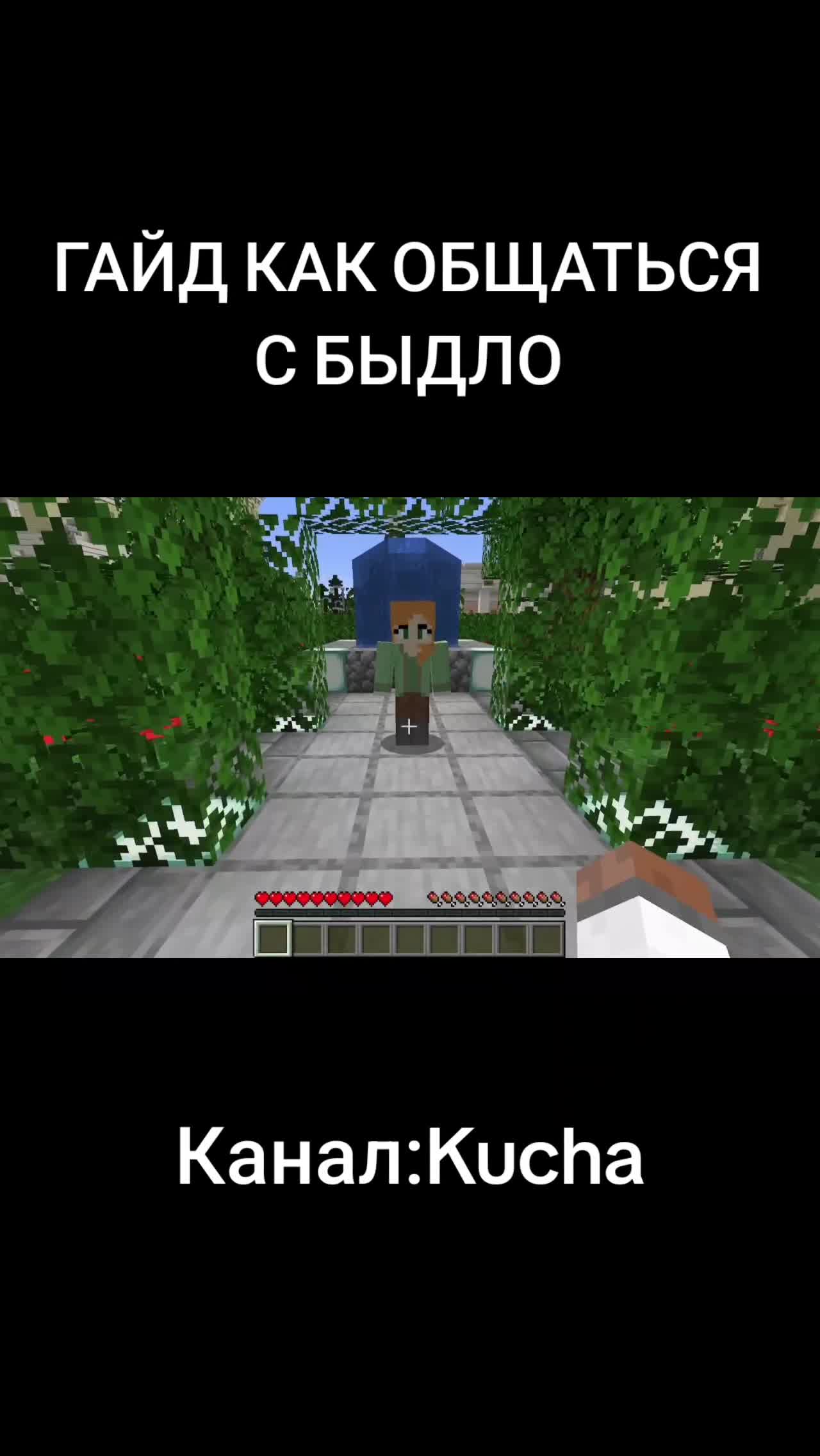 @svinina