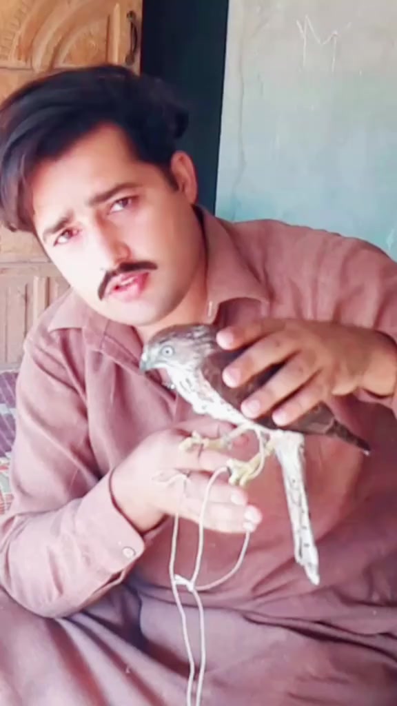 @Yasir Niazi R S ❤️ 2️⃣2️⃣2️⃣