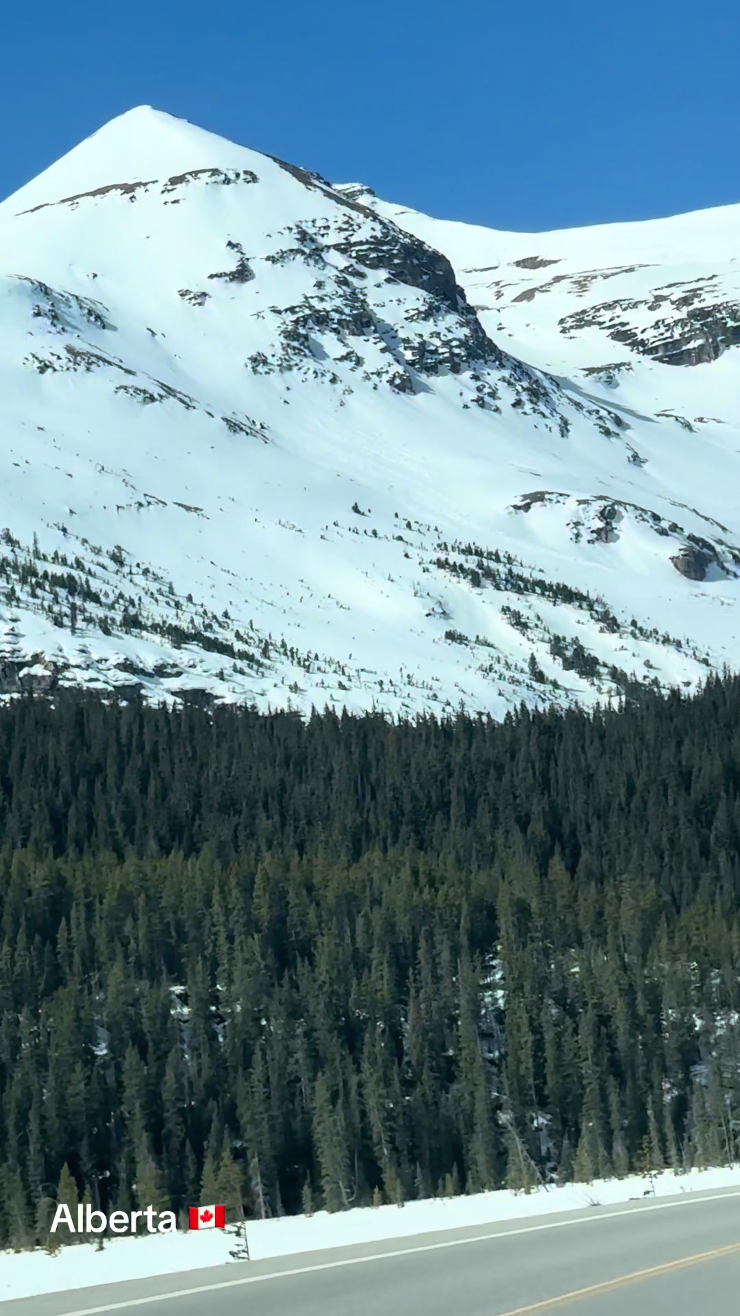 @Ada 🇨🇦