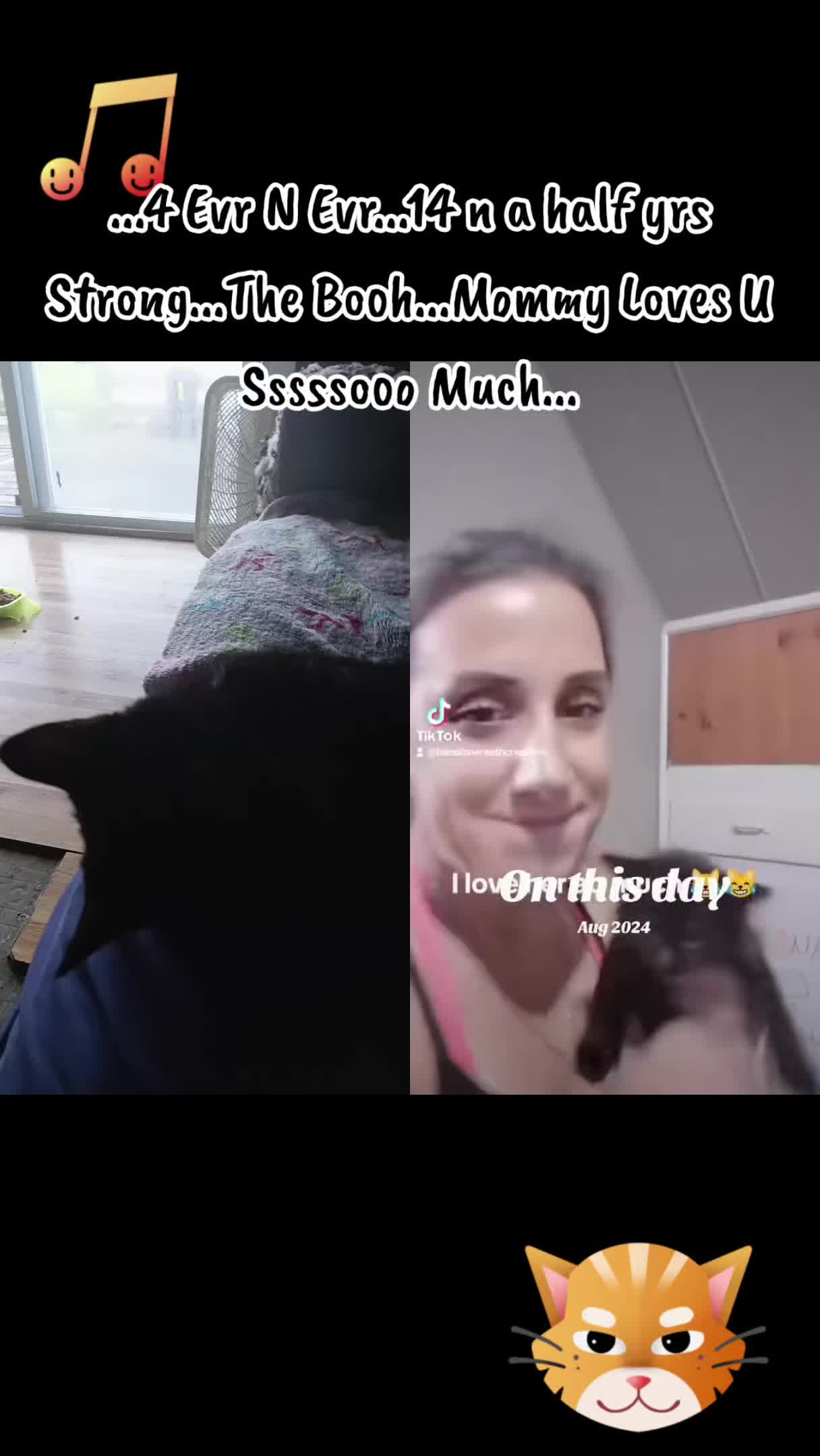 @Booh Hovey crazycatlady3