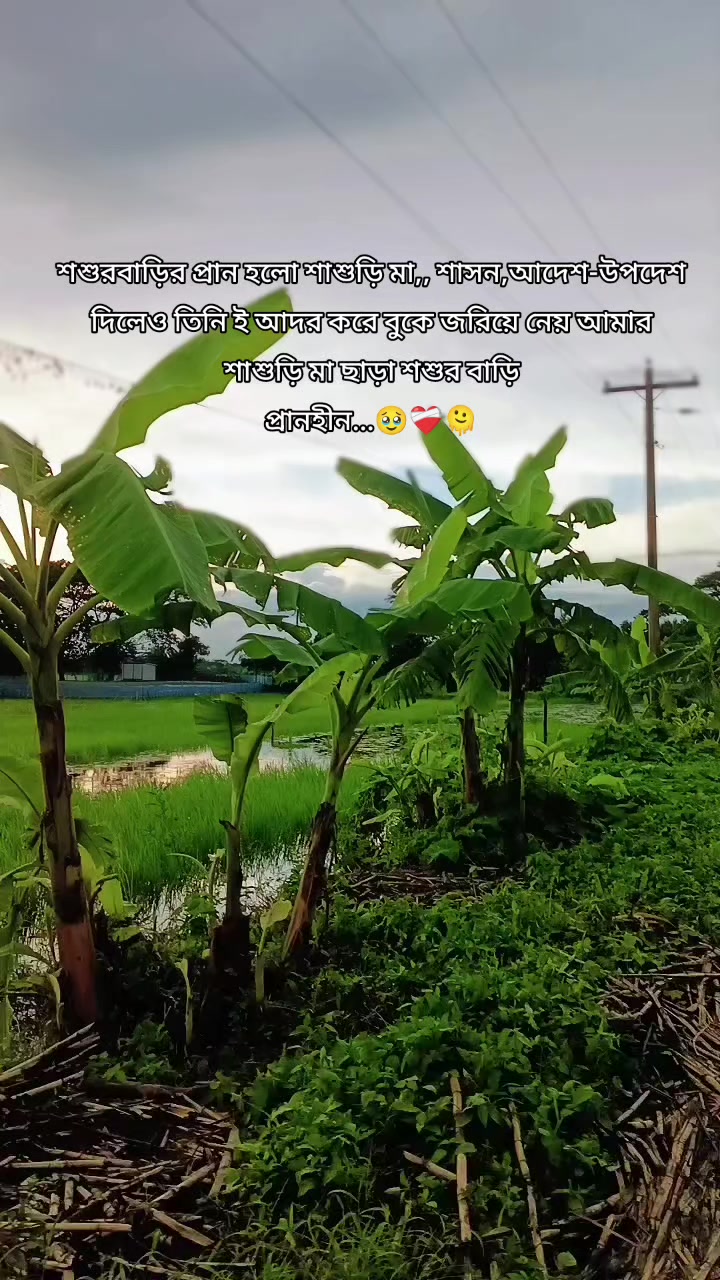 @🥀RAIYAN ER AMMU🥀