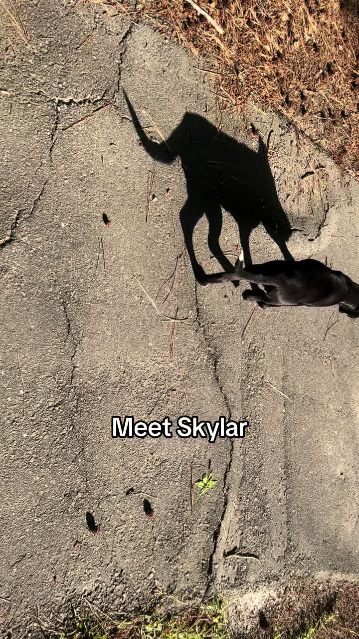 @SkiiZus