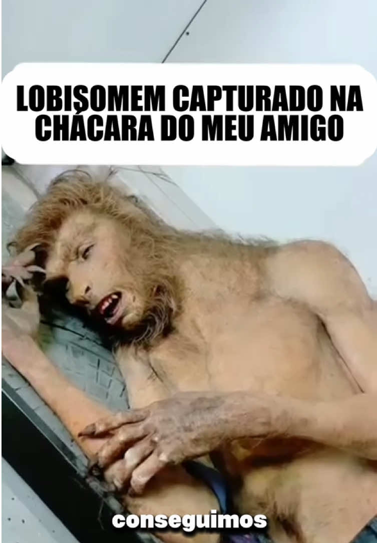 @felpzoficial