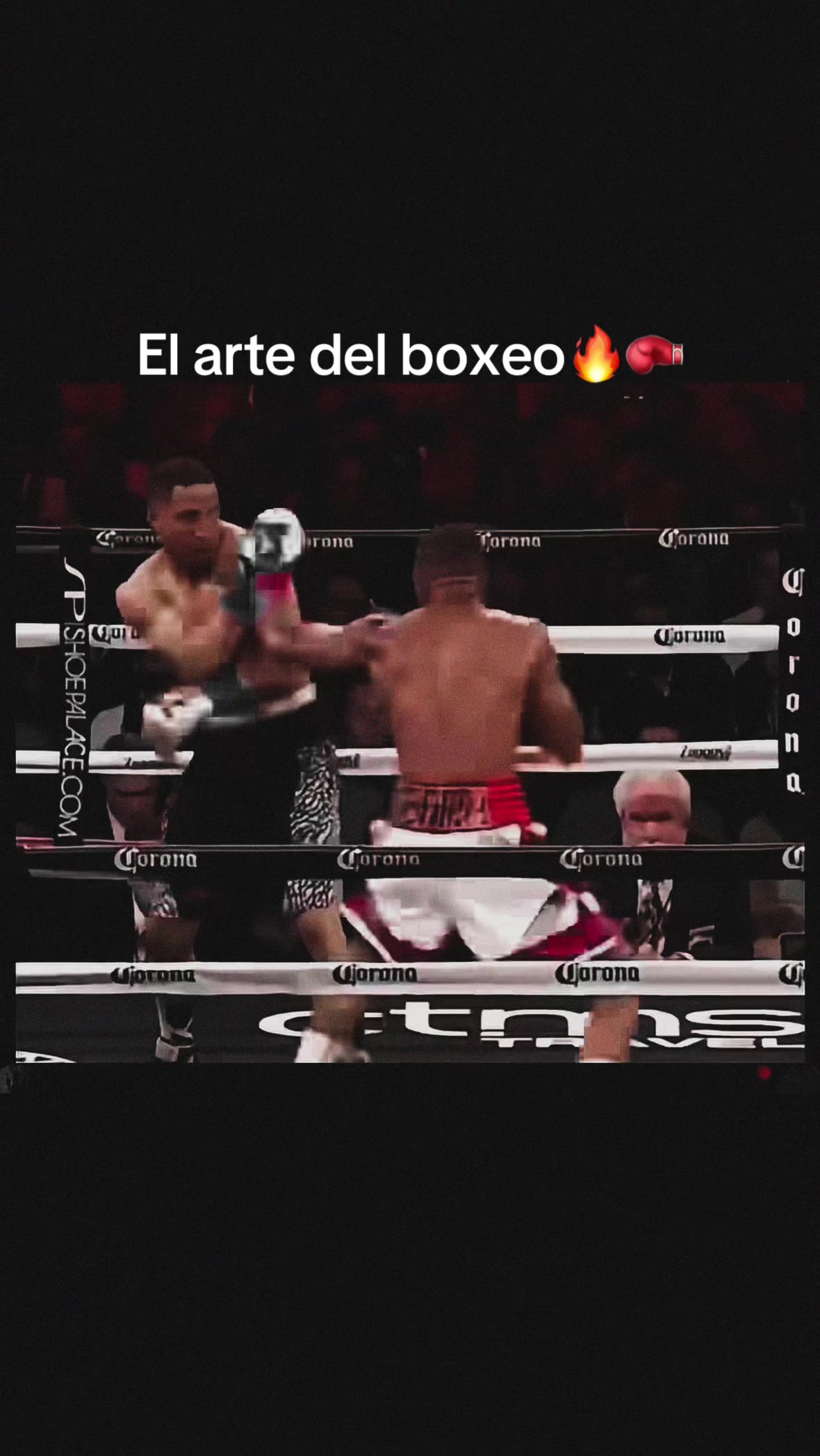@Modesto nene jr🥊🔥