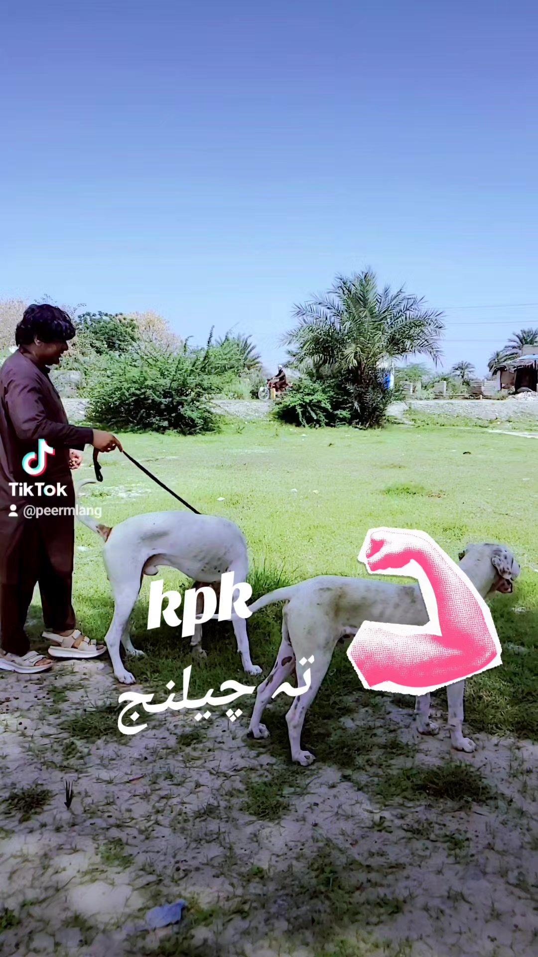 @🇵🇰PEER 🇵🇰MALANG 🇵🇰