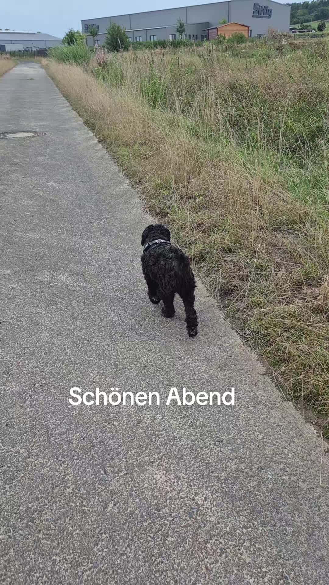 @Alexandra Neumann