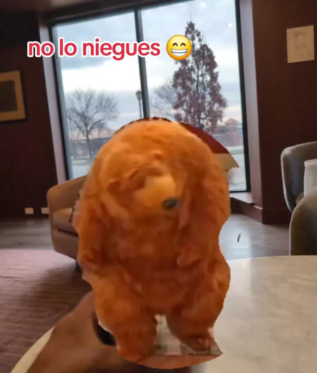 @Kamikazee Ca