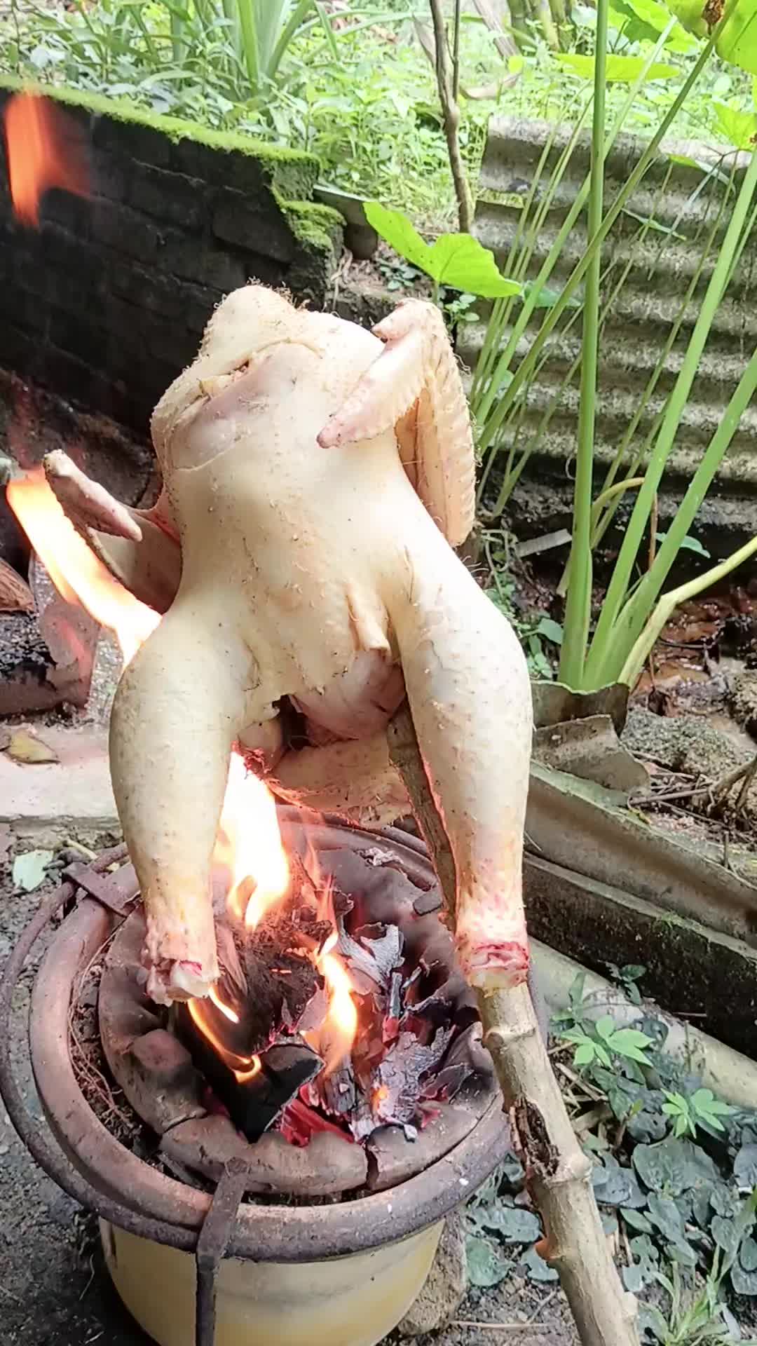 @sufiadam