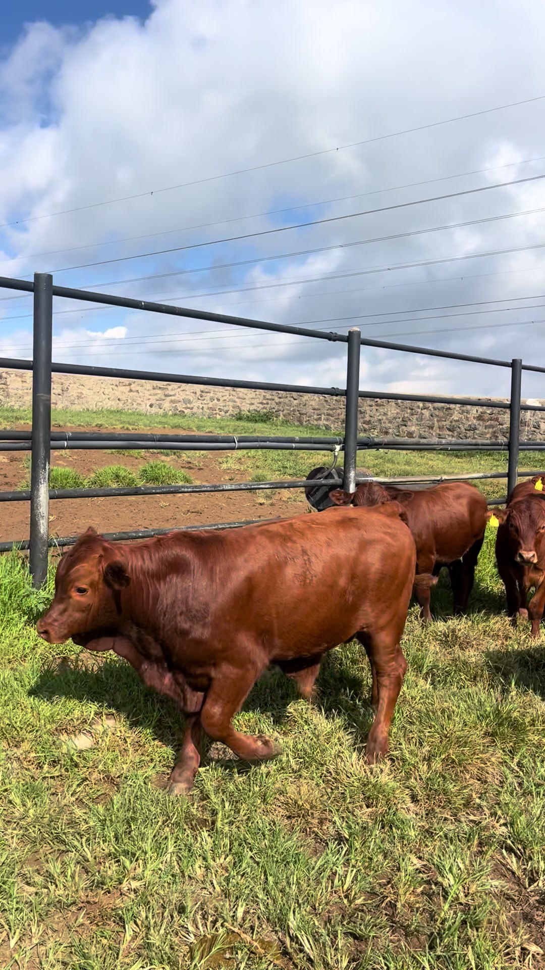 @FarmingKZN🇿🇦