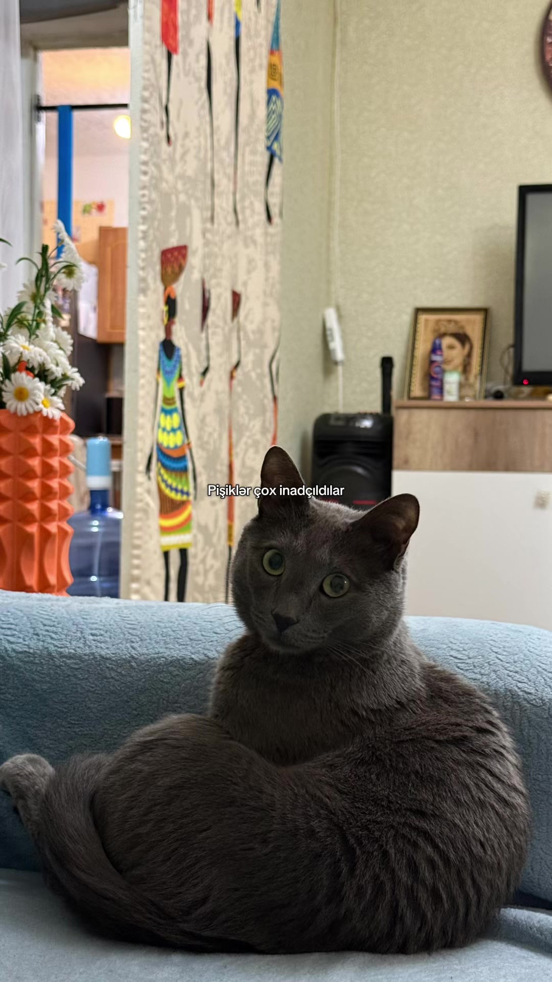 @𝐀𝐥𝐢