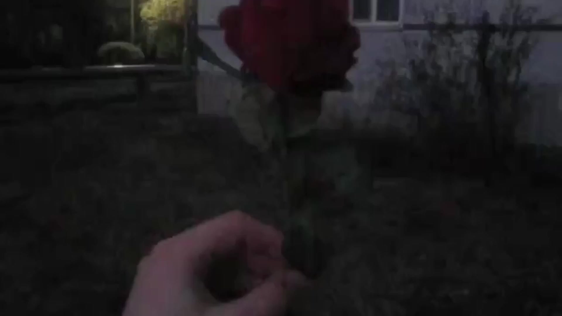 @эликсир