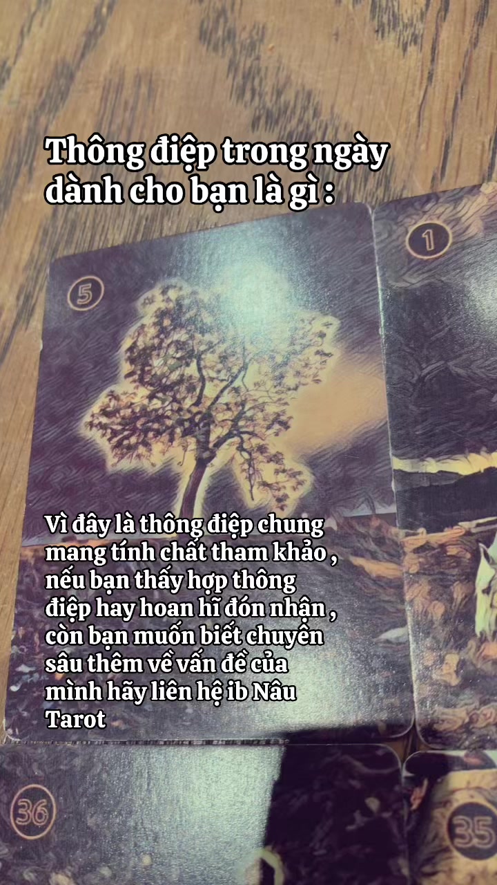 @༄𓆩Nâu Tarot𓆪༄
