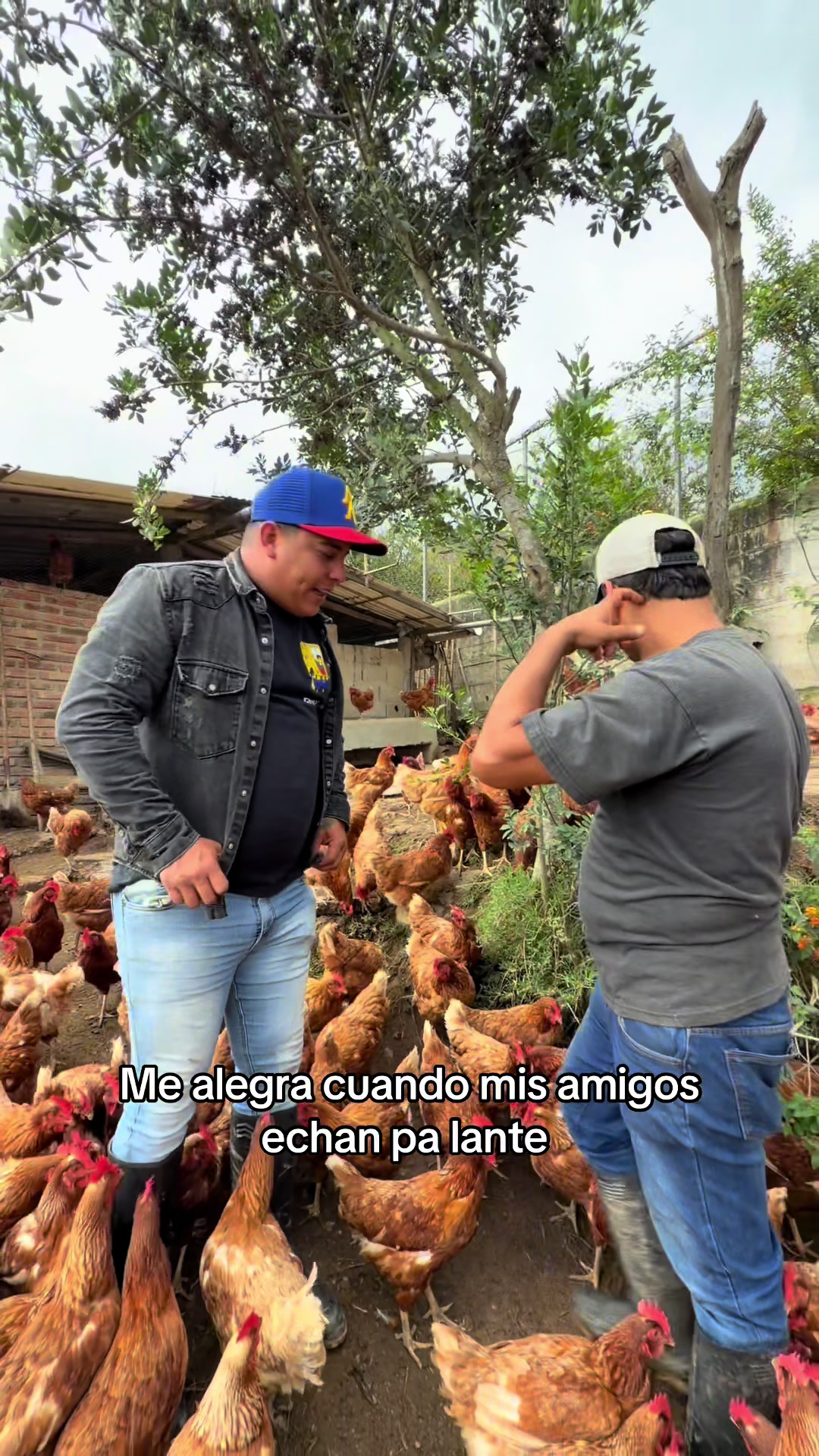@CHAVAL.TV