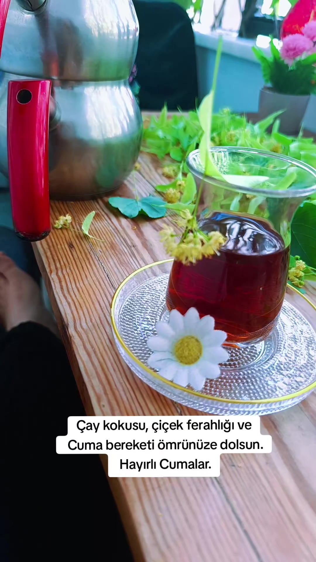 @𝓜𝓮𝓵𝓪𝓱𝓪𝓽 🕊️ 𝓔𝓻𝓴𝓪𝓷