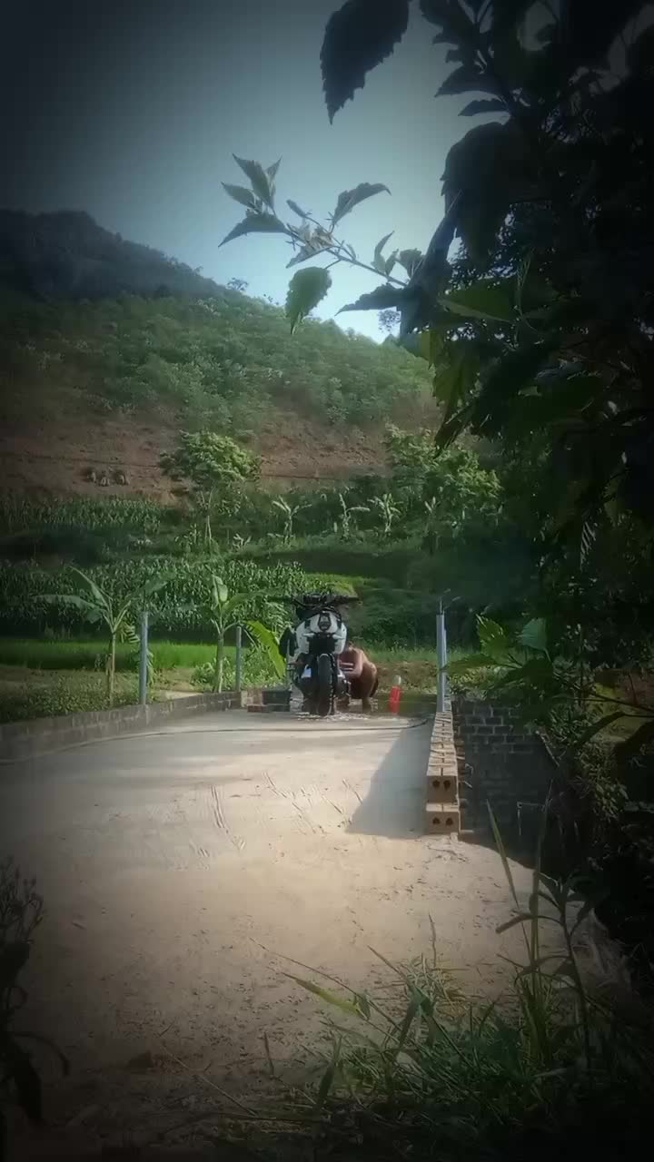 @đông xd