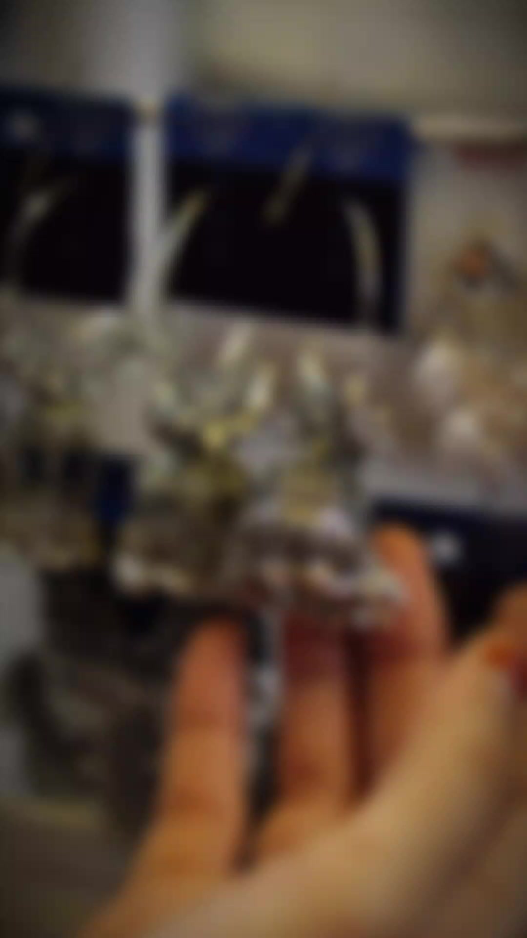 @🪄ᴊɪᴍɪᴋᴋɪ ᴇꜰx_8📌