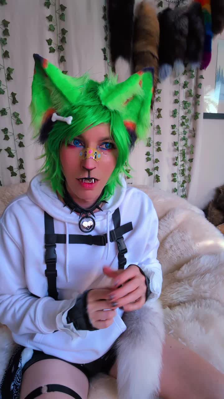 @starlit wolf