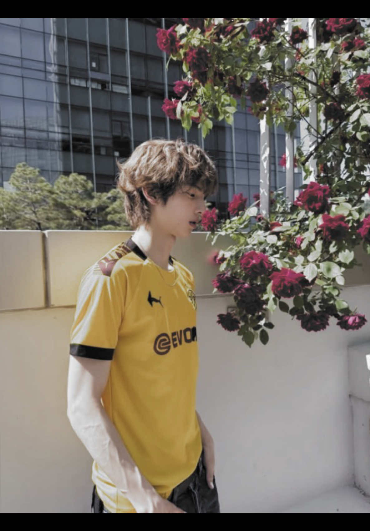 @๐เง ลic.