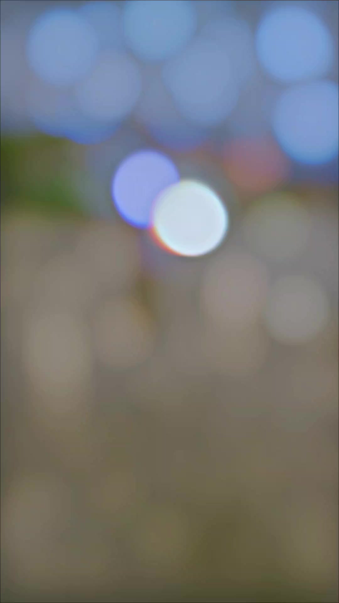 @🕊️