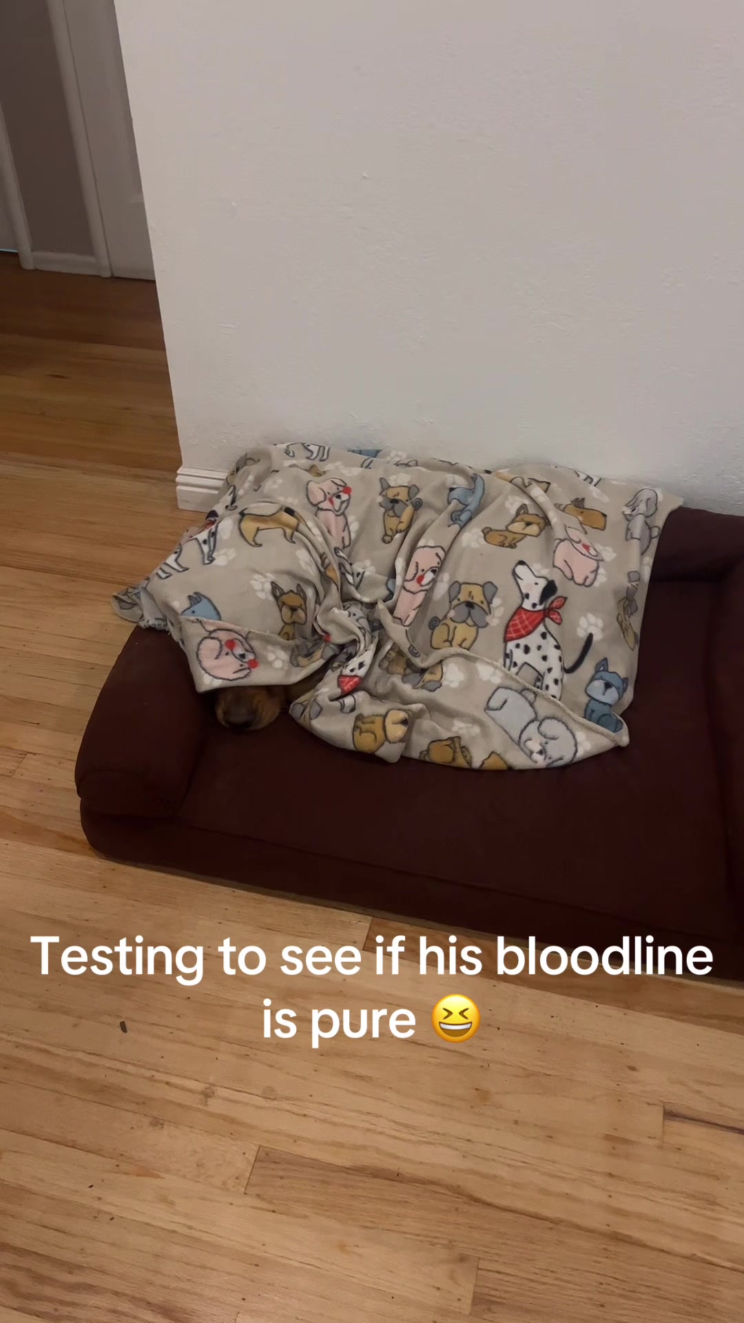 @_c.romo_