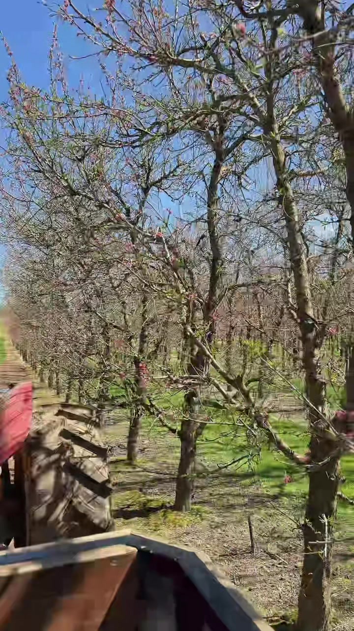 @&Auml;přǐļ💚