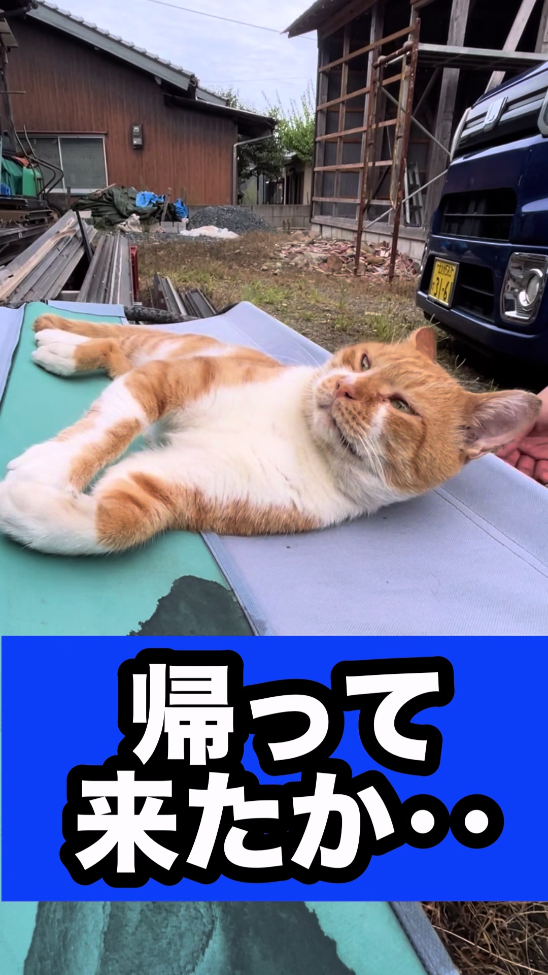 @藤原 政宗 動物好き❤️飛行機好き❤️