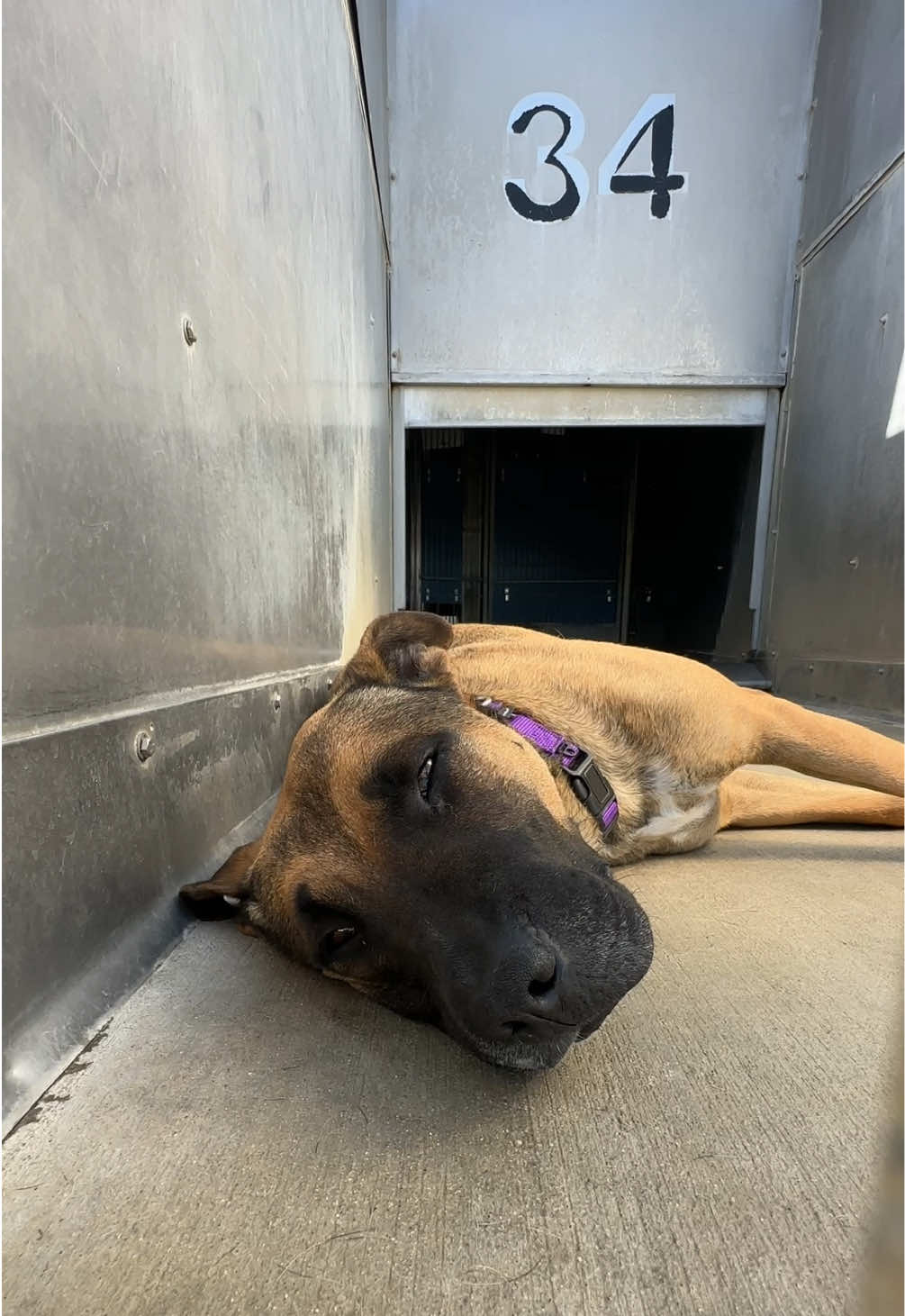 @Ventura County Animal Services