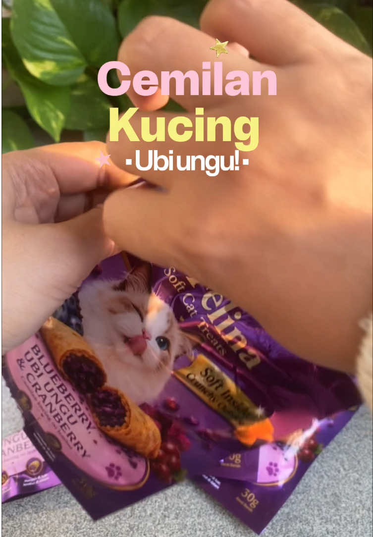 @kucingnyalingga🍉