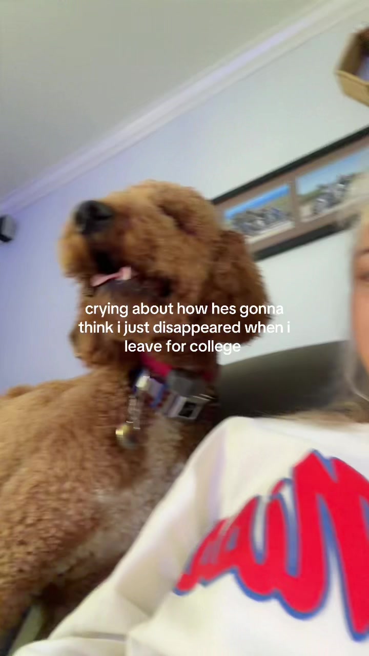 @Madyson