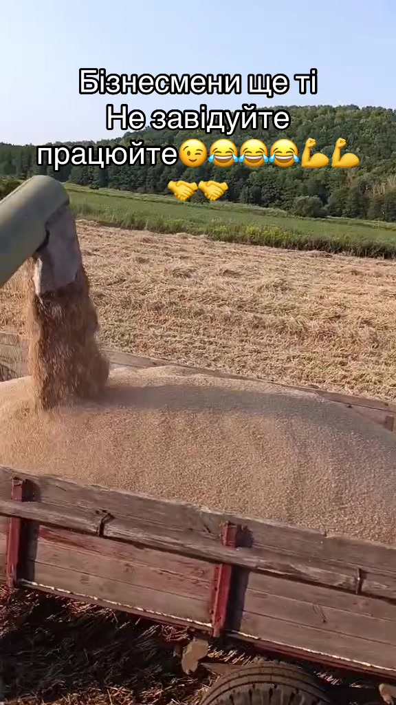 @🌾Diagri1996🌾