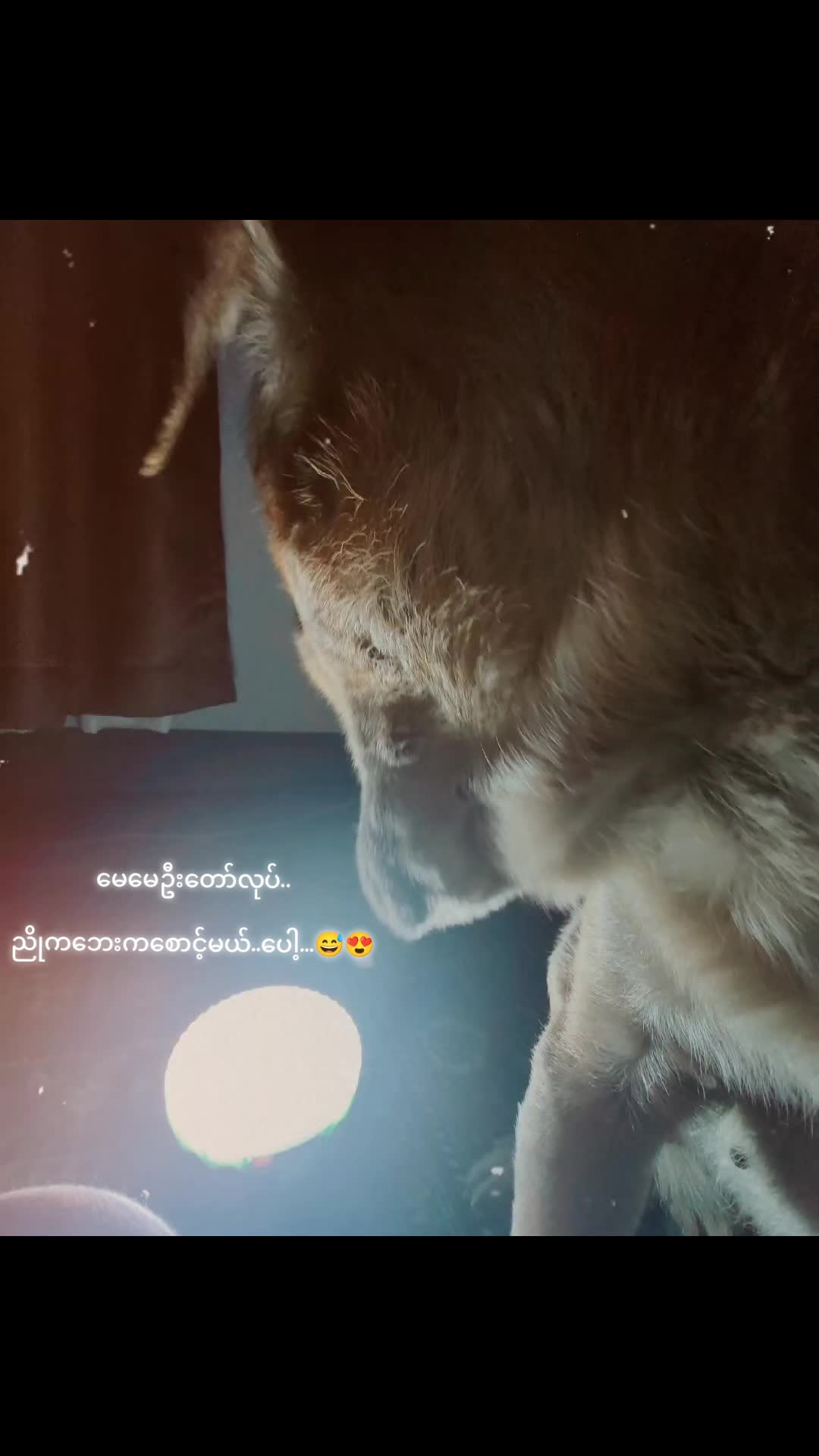 @Thida Htun
