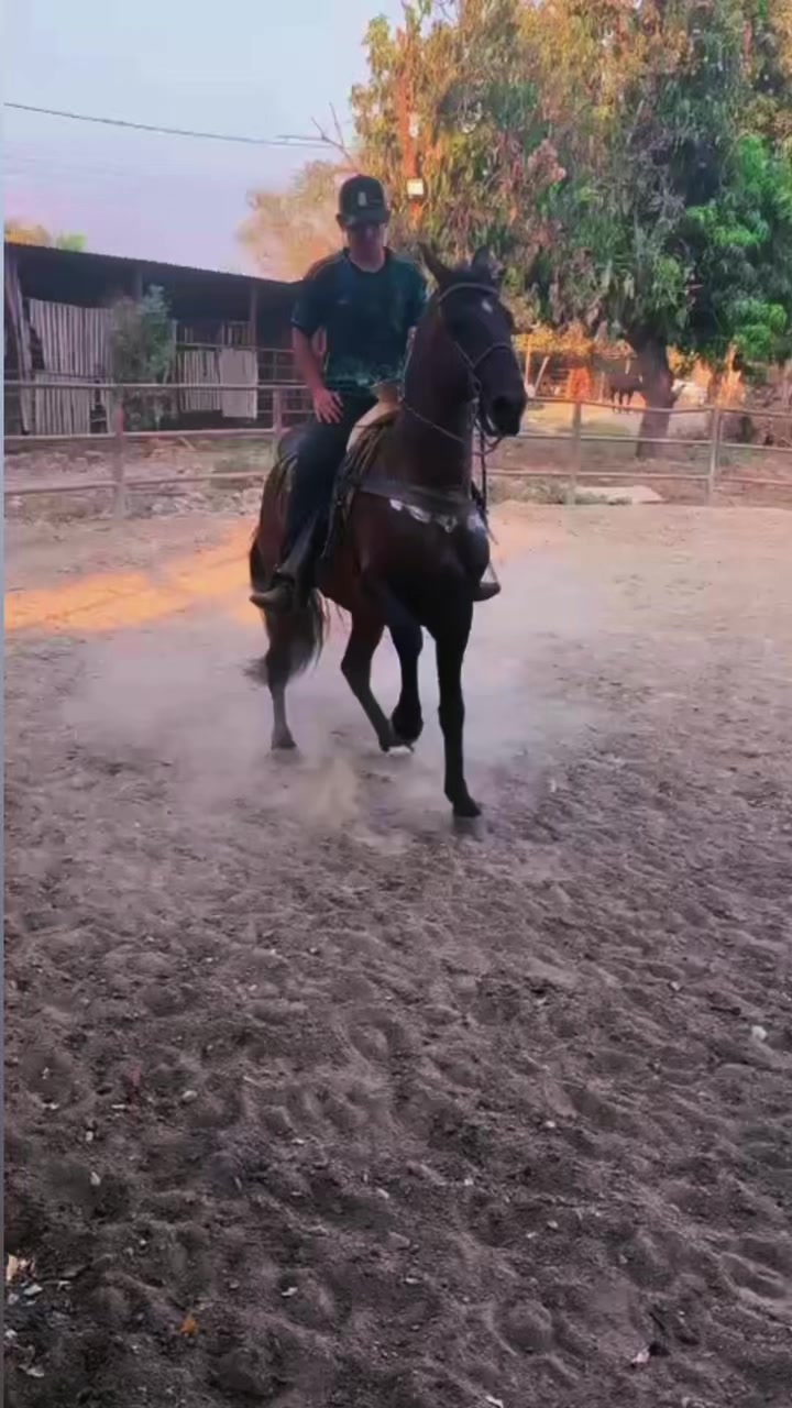 @K.borja🐴