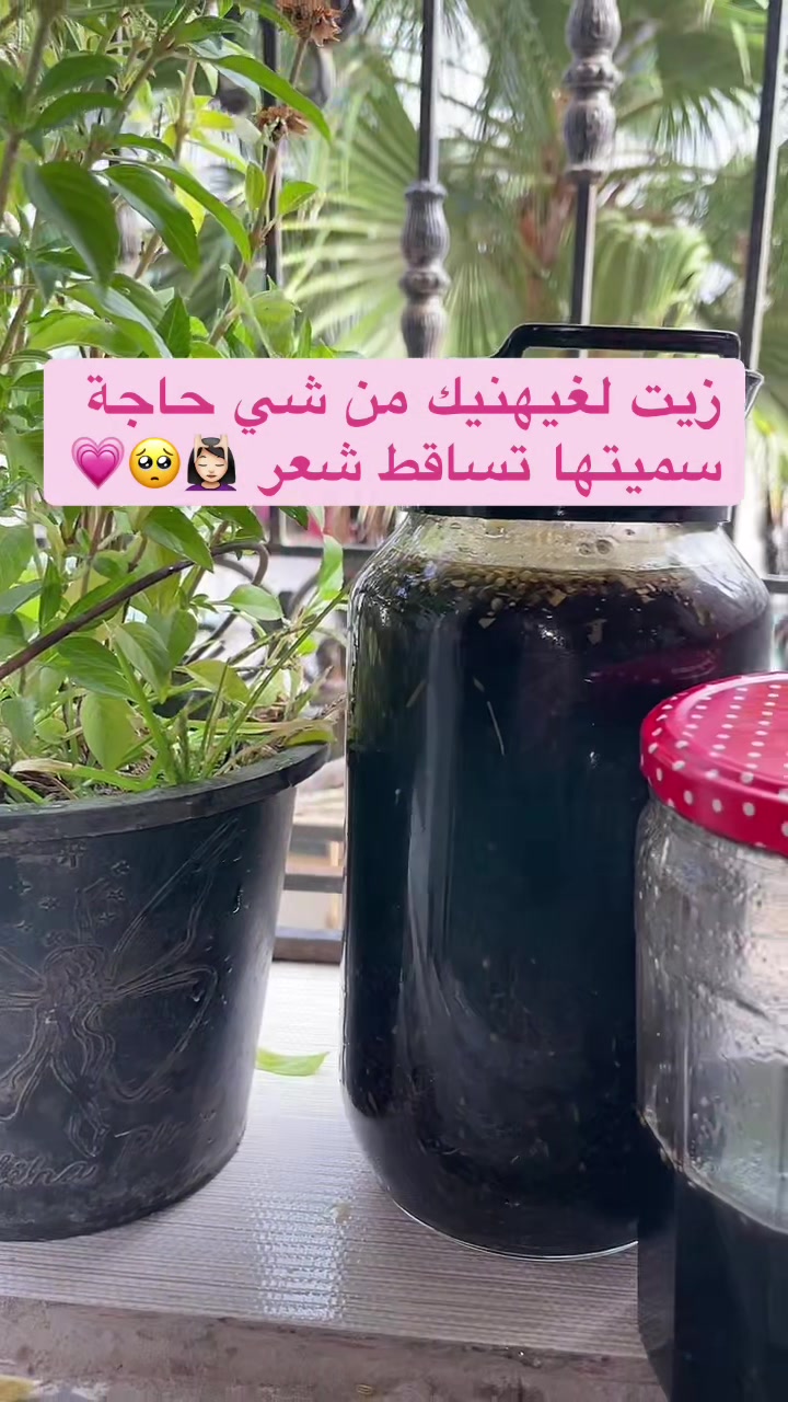 @Nour-rahma