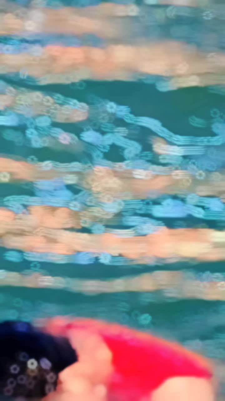 @𝖲ɑɣɣɑო 𝖢𝗁ɑυᑯ𝗁ɑ𝗋ɣ 😎