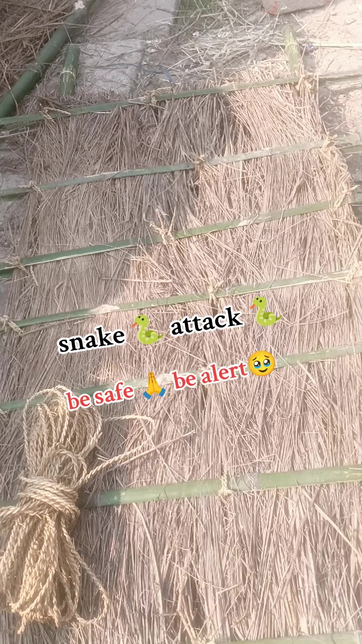@jesu patel 🥀🌿&hearts;️💕💐🍁🍂🦜🦋