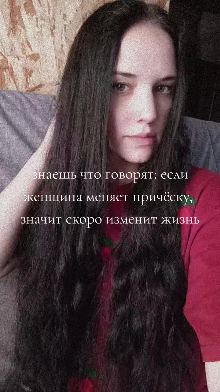 @nolik