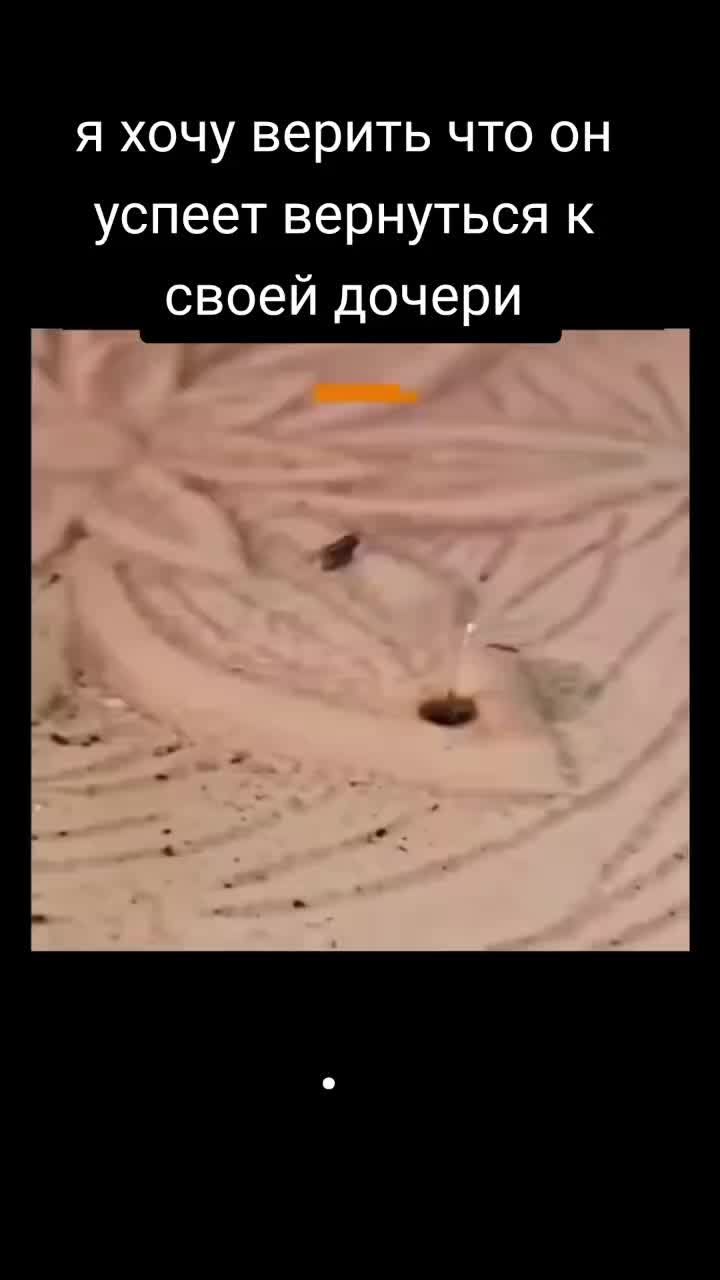 @_Oldmaan_