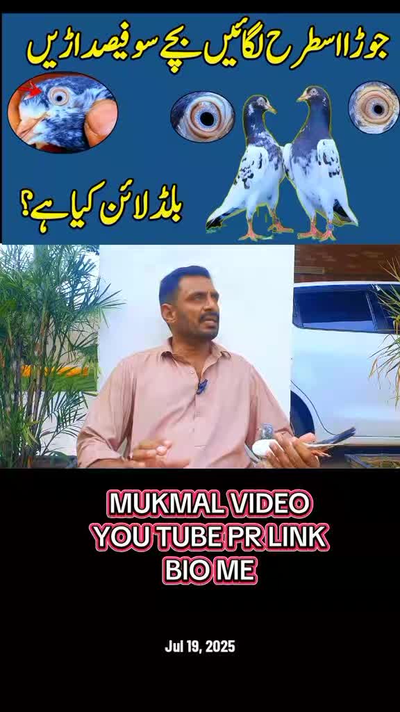 @KABOOTAR PARWAR VLOG