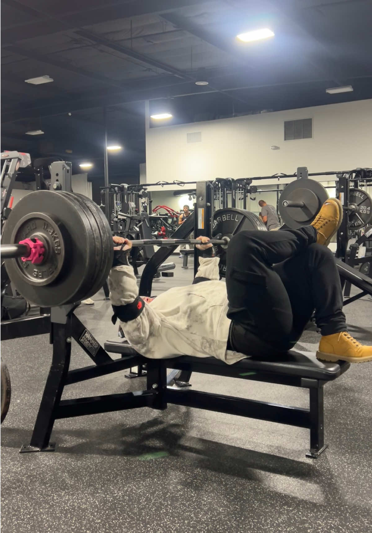 @GORILLA QUINN 🦍🇺🇸