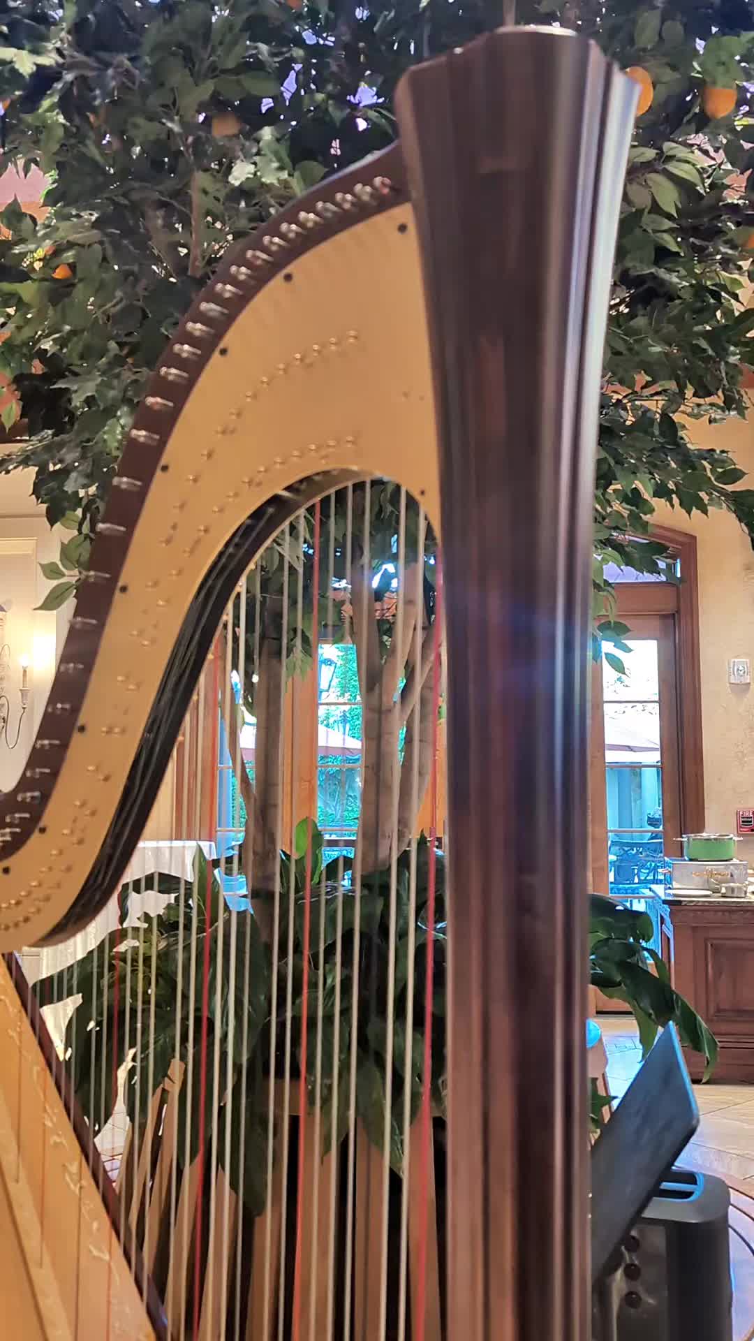 @Harpist Vanessa