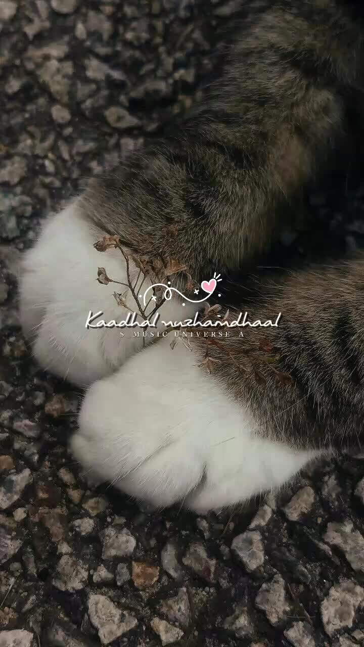 @♥๐๐๐๐๐พ ๐๐๐๐๐๐๐๐♥