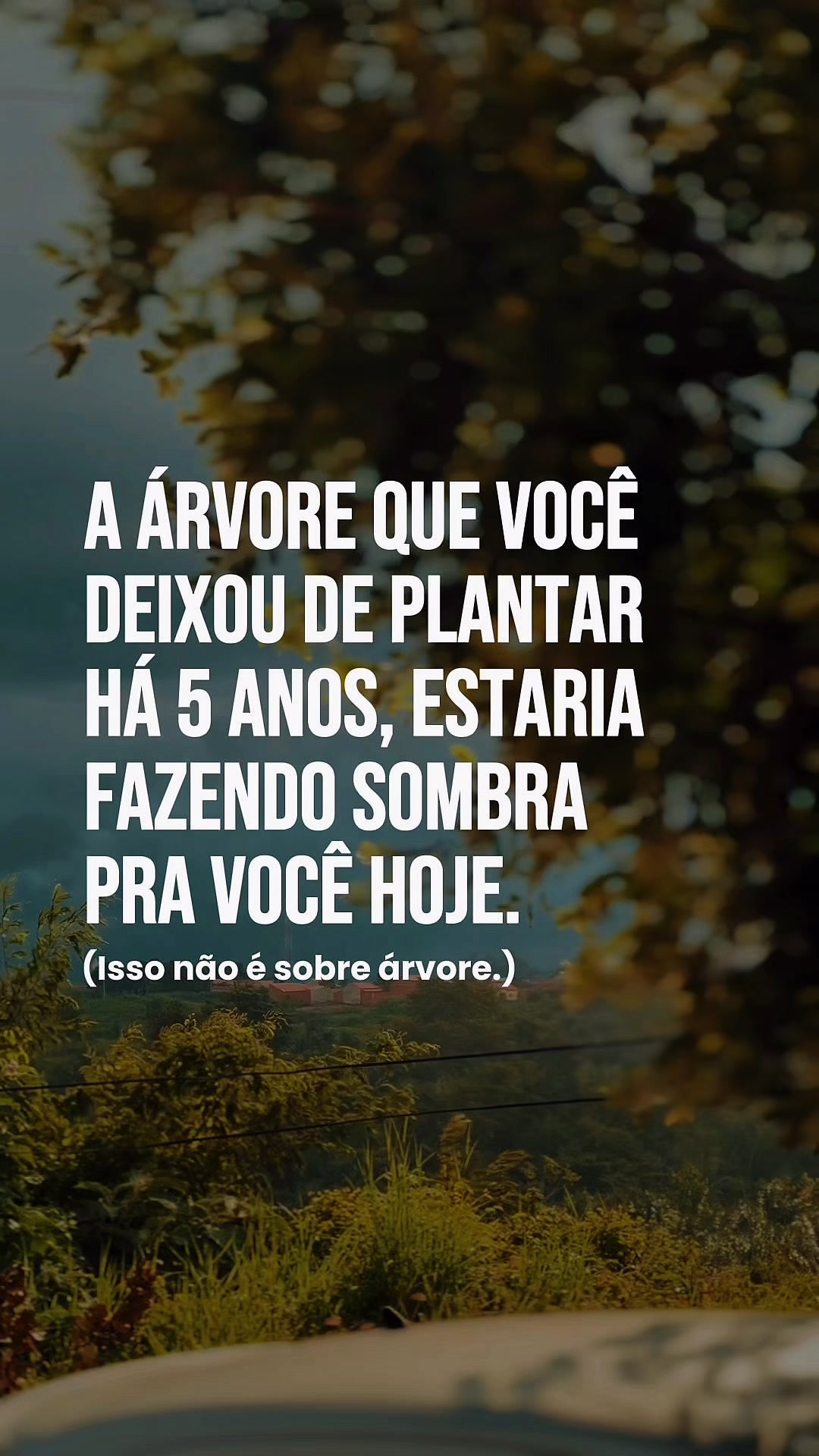 @Alberto Santos