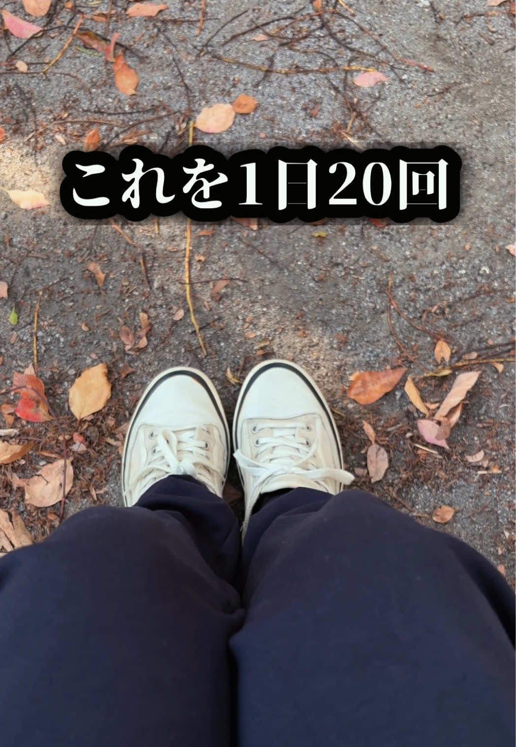 @鍼灸整体 / 三田市のTAKA先生