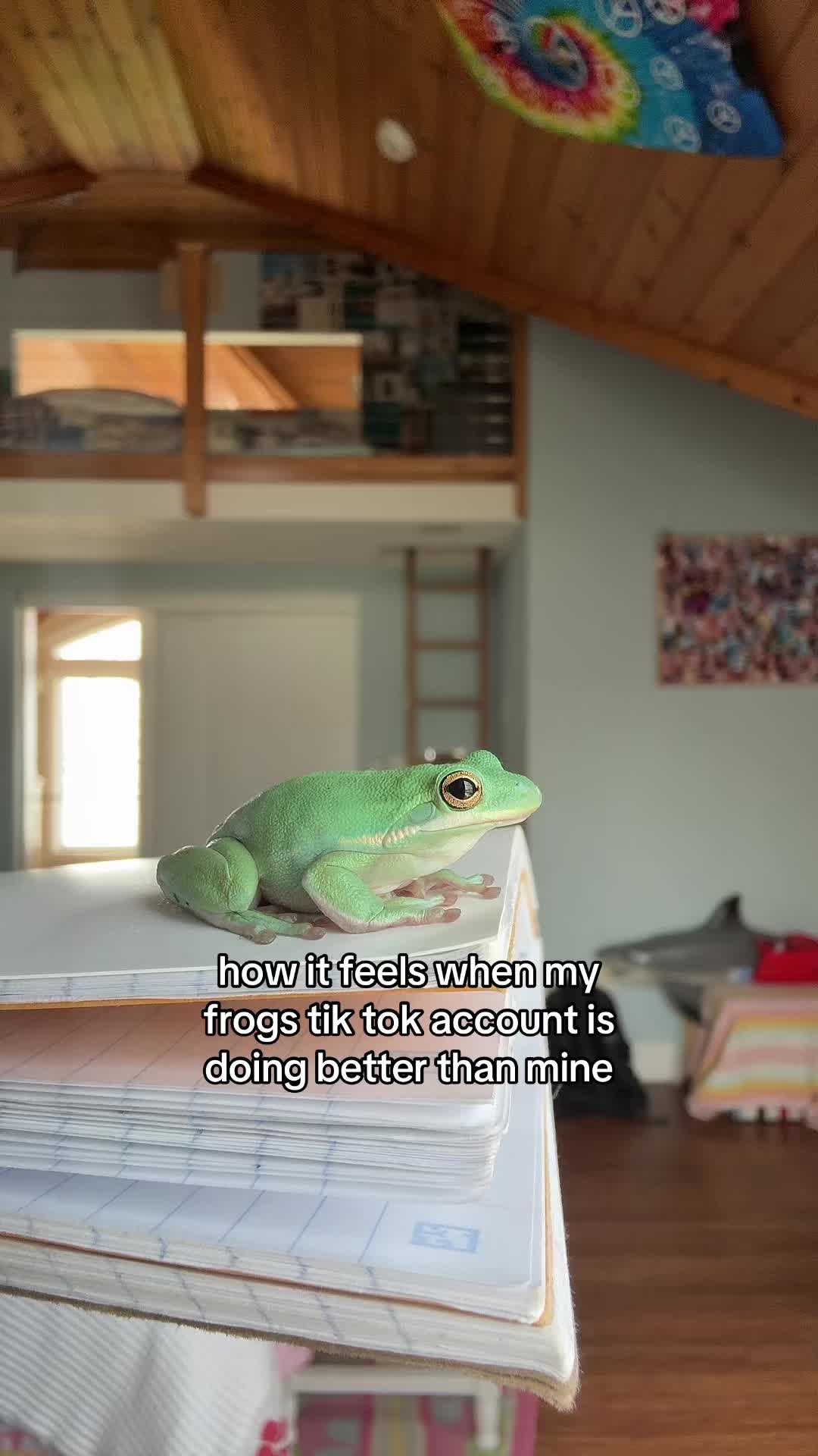 @daily FROG posts 🐸