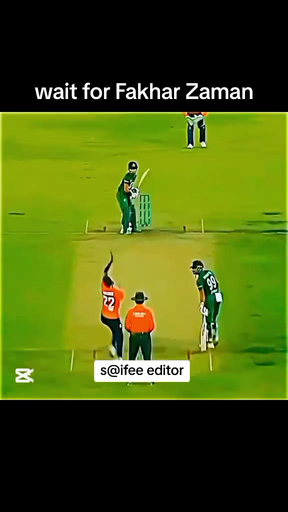 @S@ifee editor