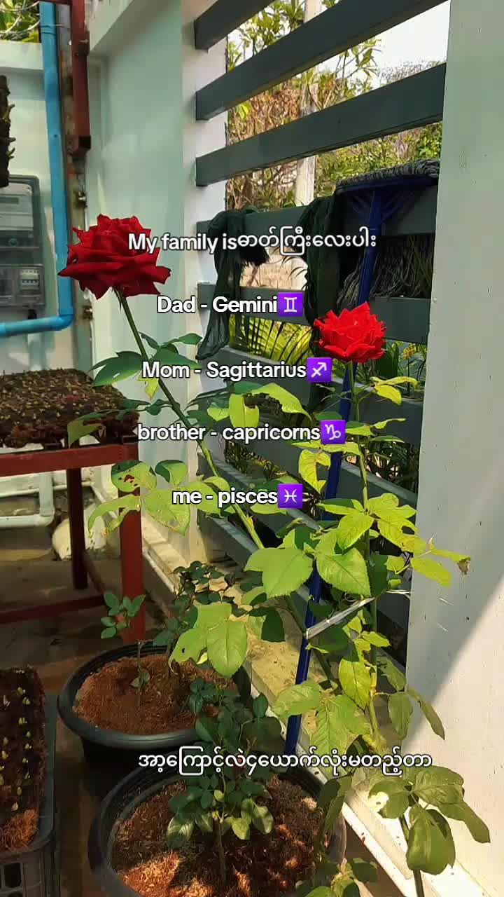 @P🍒